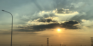 柘城悦旭技术优势